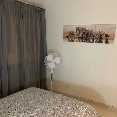 Sunny House *